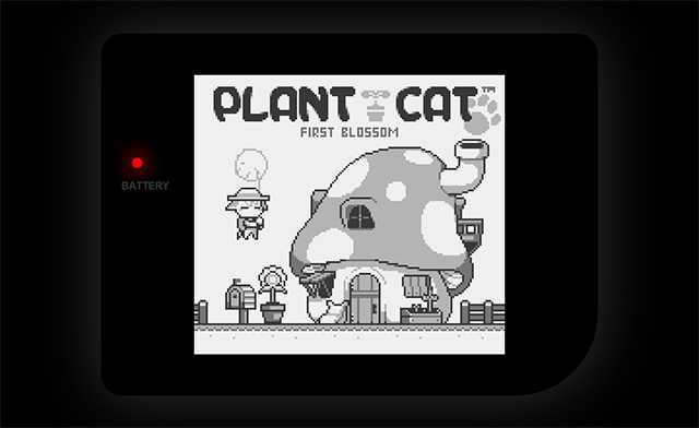 Plant Cat - First Blossom